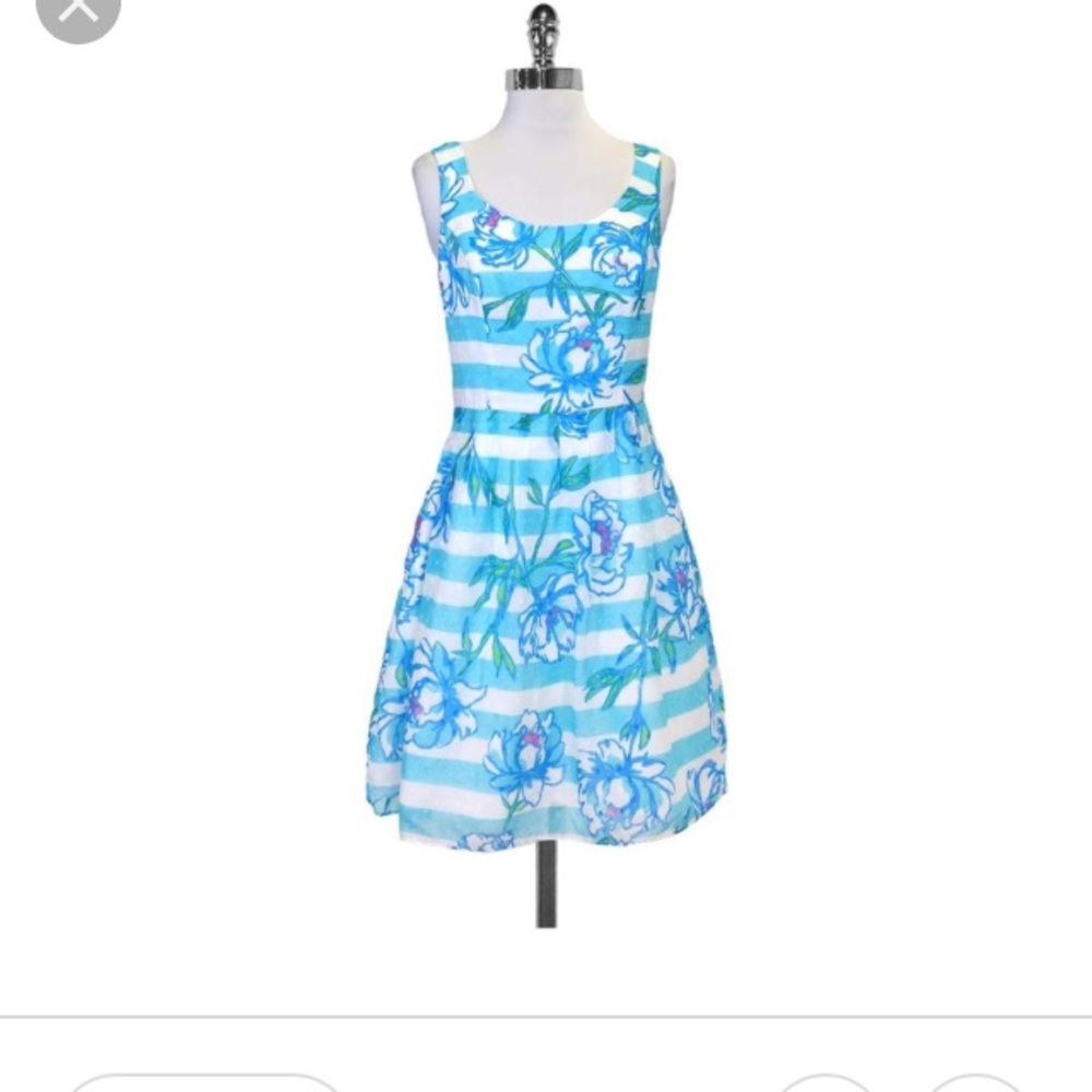 Blue Striped Floral Posey Casual Dress size 2